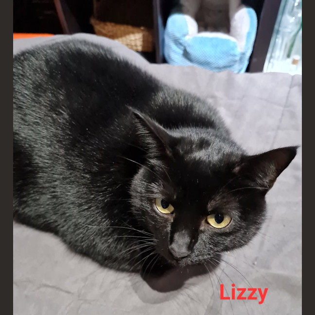 Photo of Lizzie