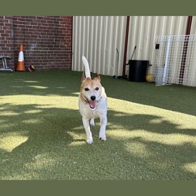 Photo of Billy