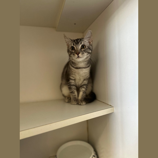 Photo of Jack