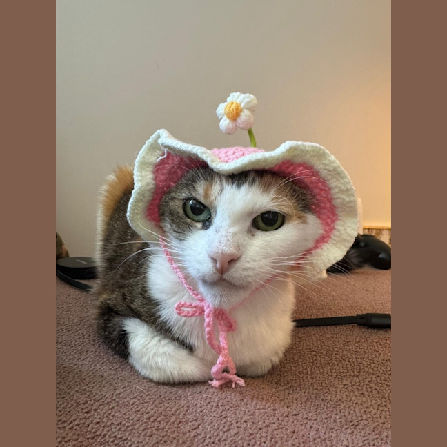 Photo of Amy