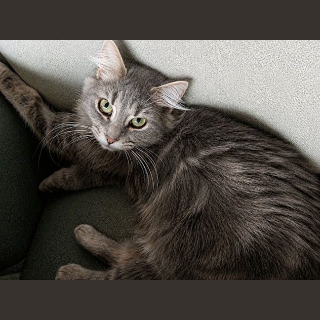 Photo of Matilda