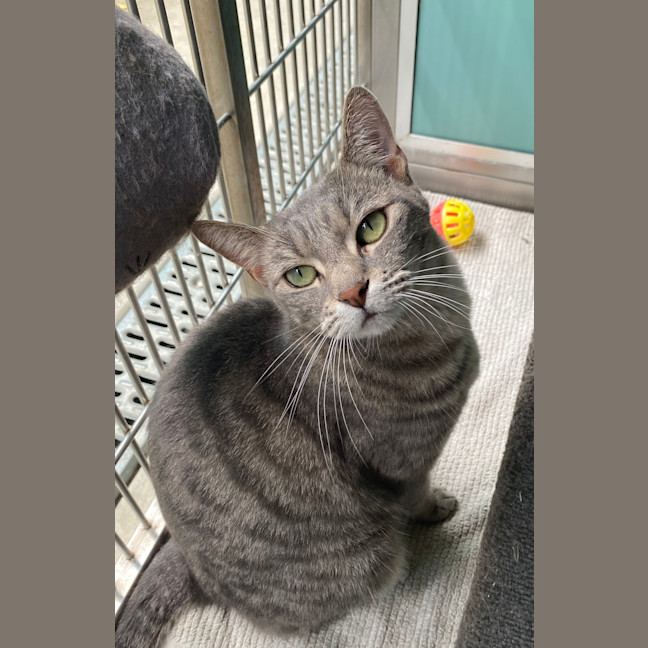 Photo of Mirabel