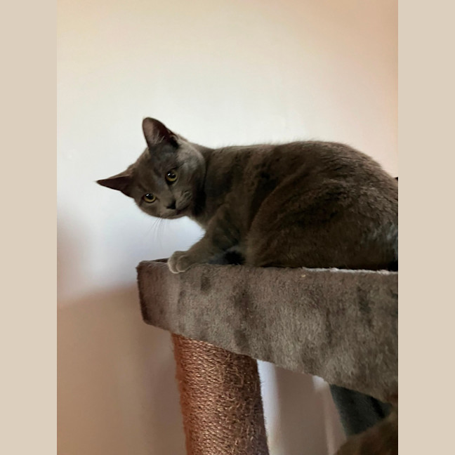 Photo of Gus