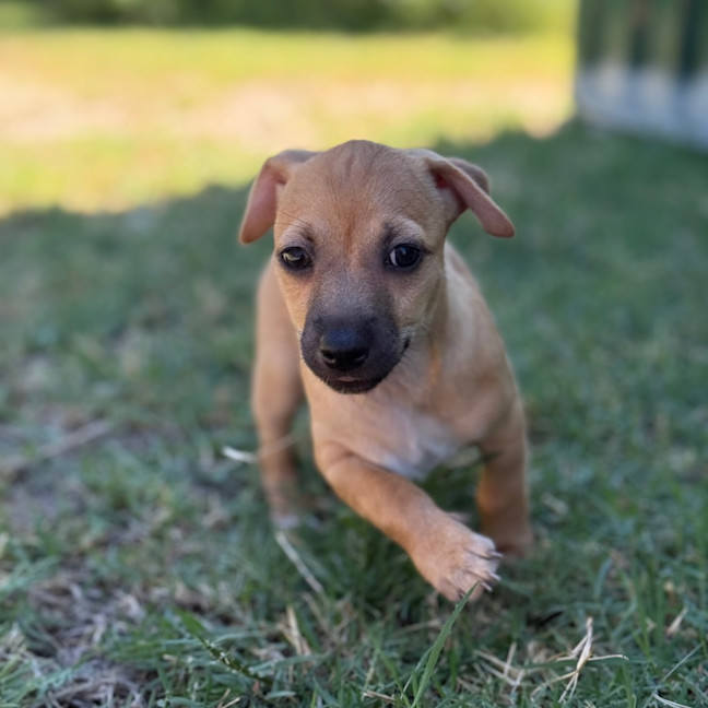 Photo of Milly