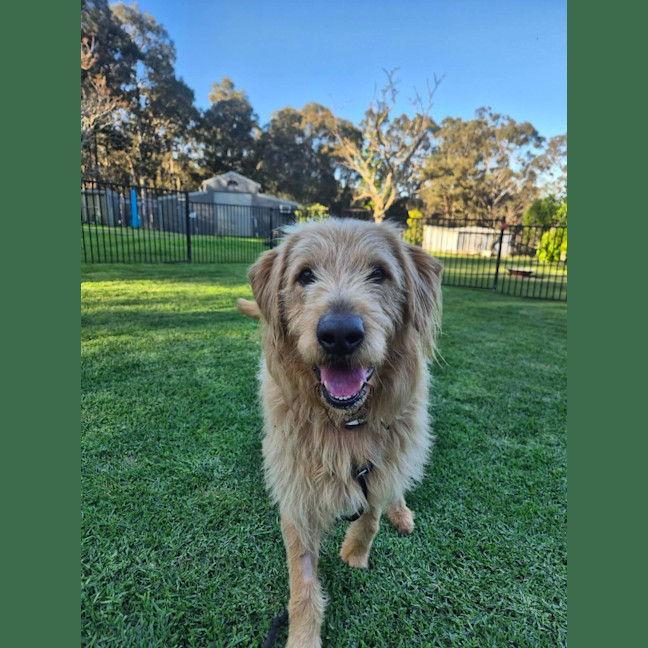 Photo of Charlie