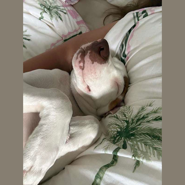 Photo of Max