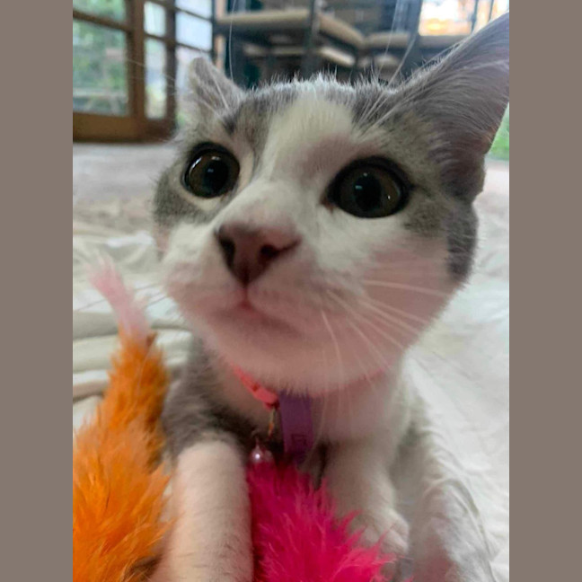 Photo of 🤎 Douglas 🤎