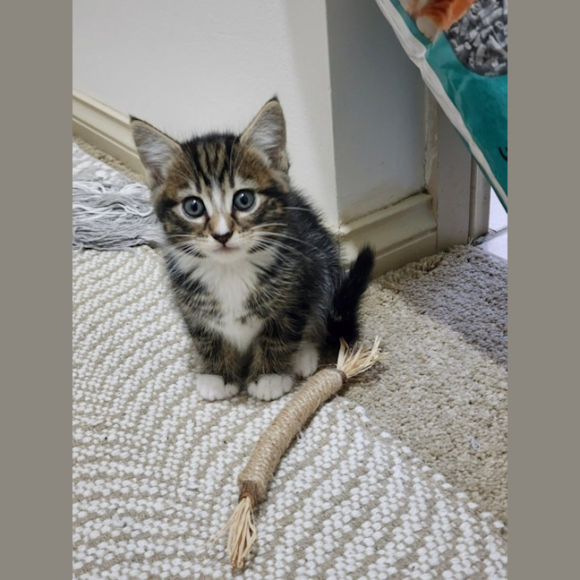 Photo of Eliza Thornberry