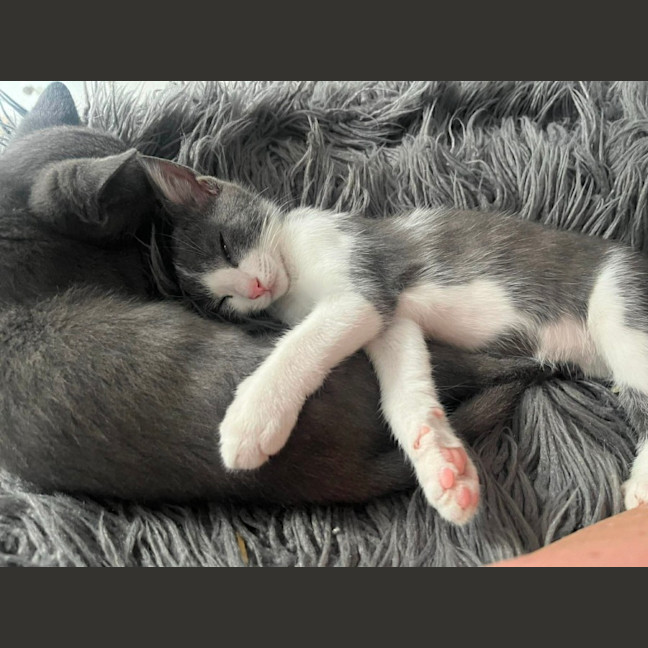 Photo of Eloise