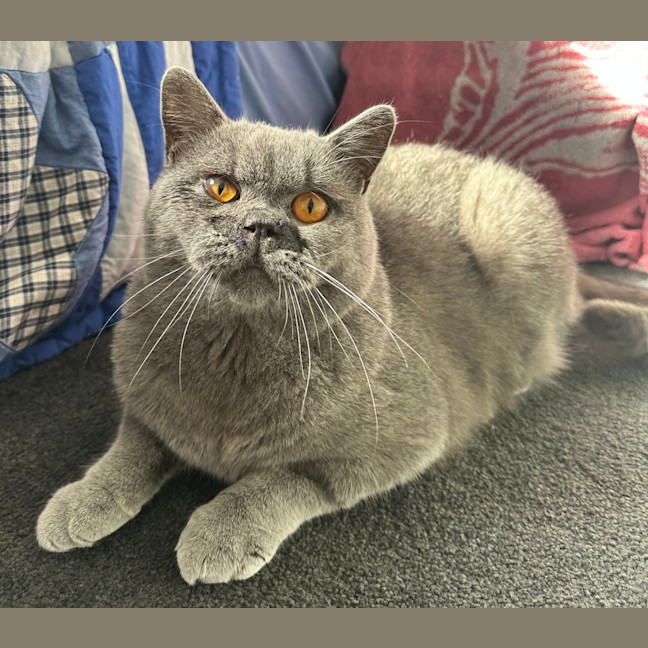 Photo of Buster