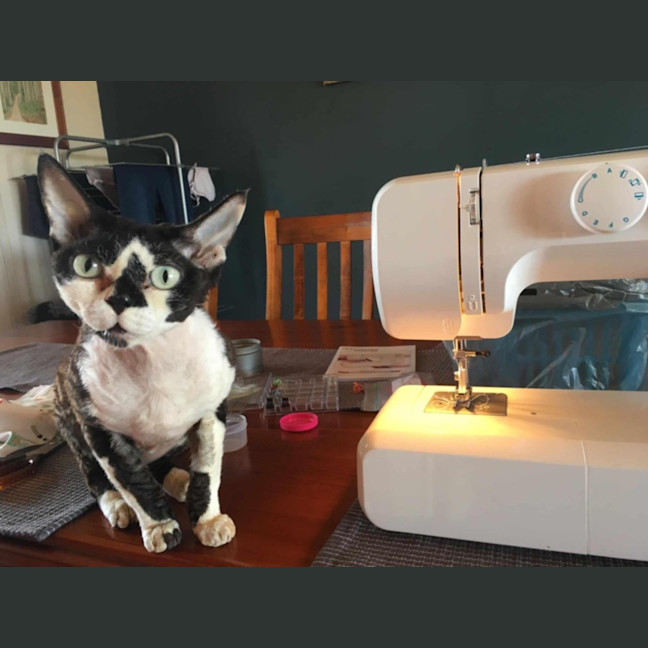 Photo of Diesel & Maggie