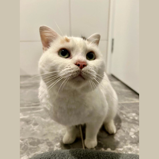 Photo of Blanquita
