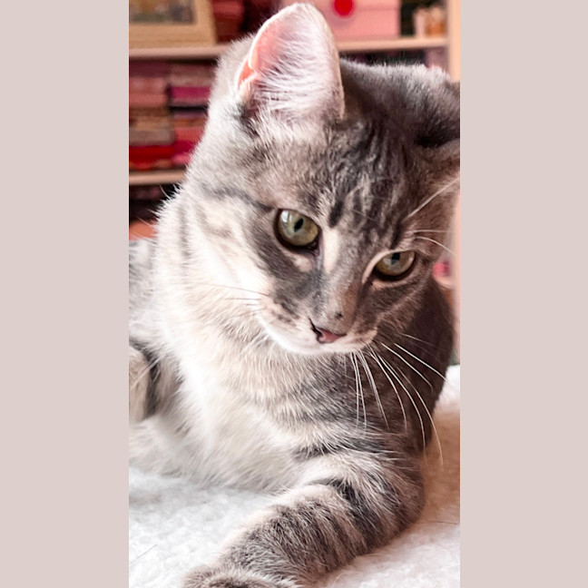 Photo of Ophelia