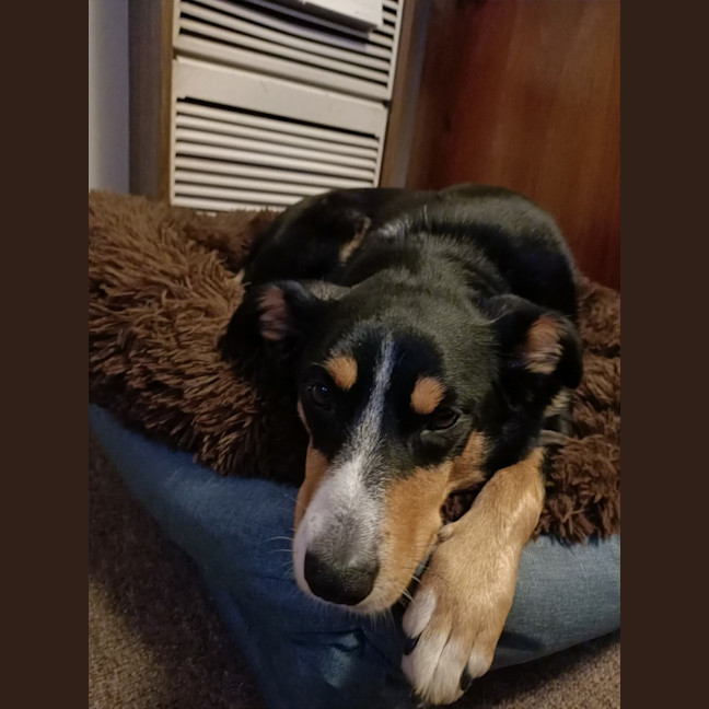 Photo of Molly