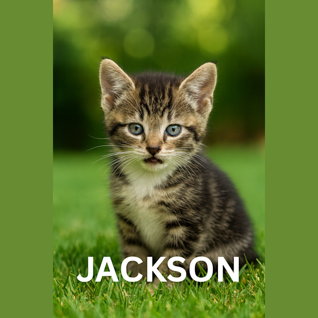Photo of Jackson
