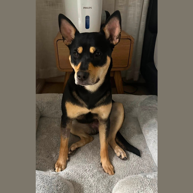 Photo of Tilly