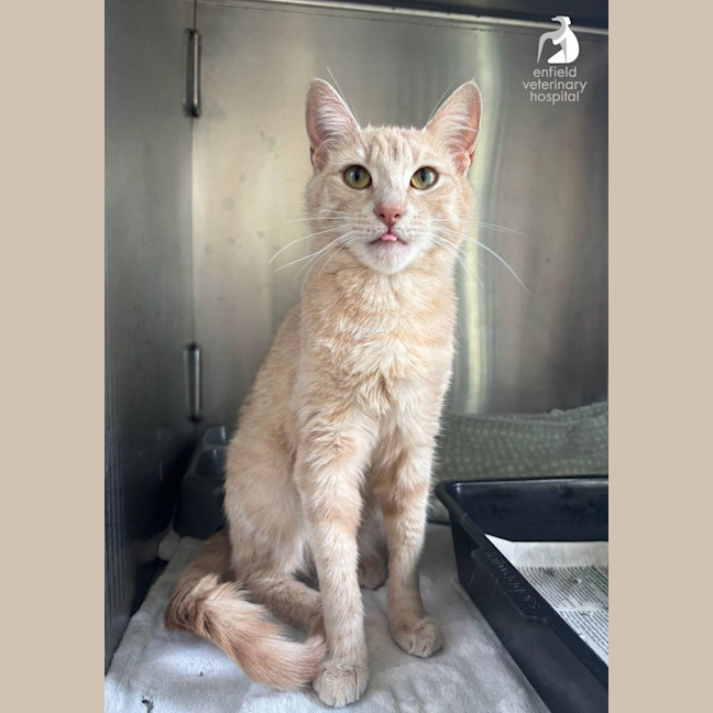 Photo of Happy Heidi