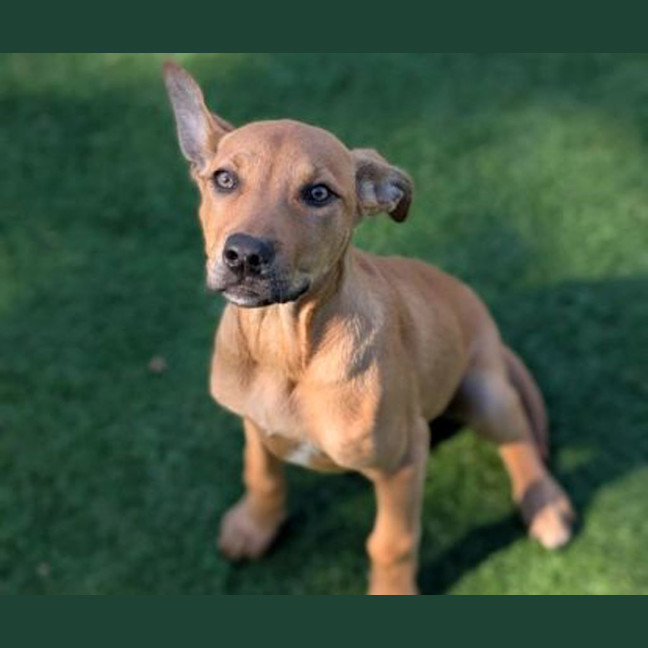 Photo of Winnie