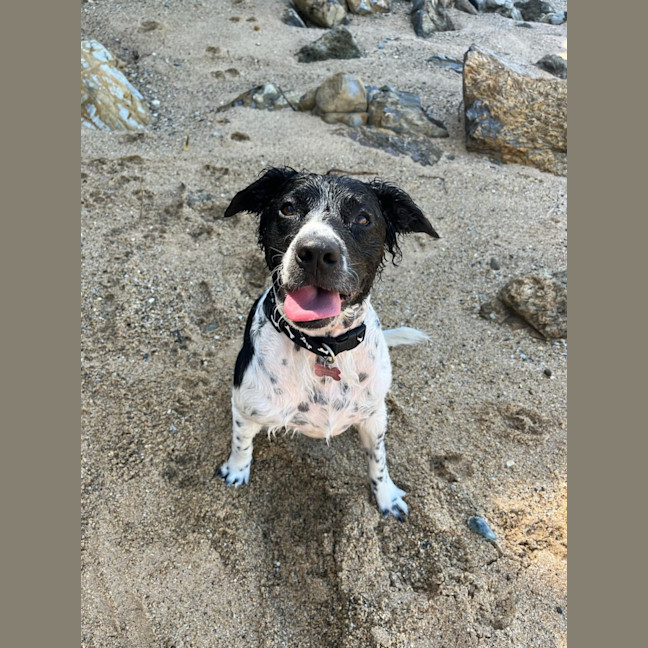 Photo of Lilly