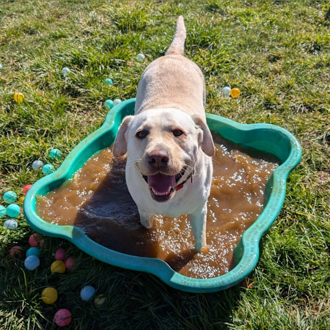 Photo of Layla