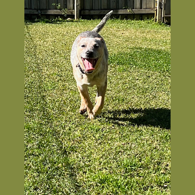Photo of Luna