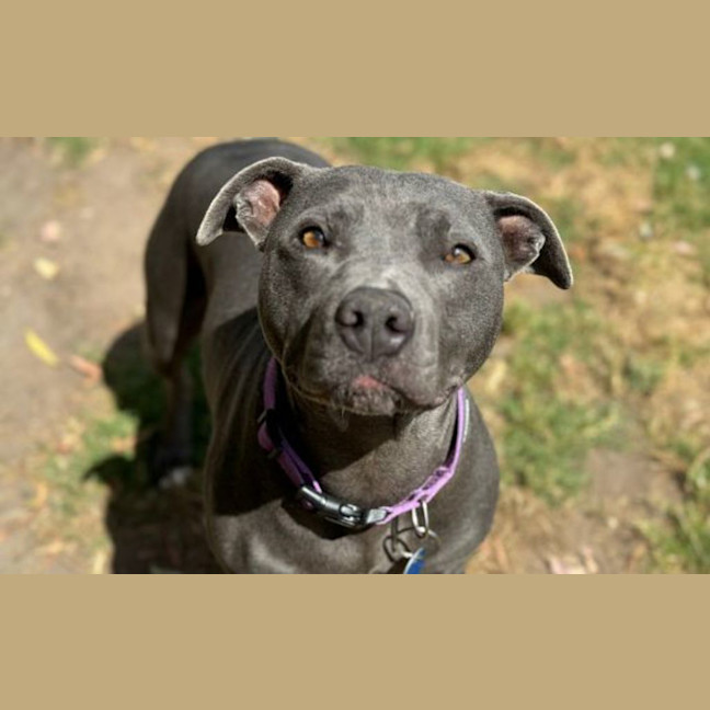 Photo of Annabee