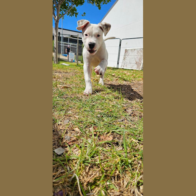 Photo of Stanley