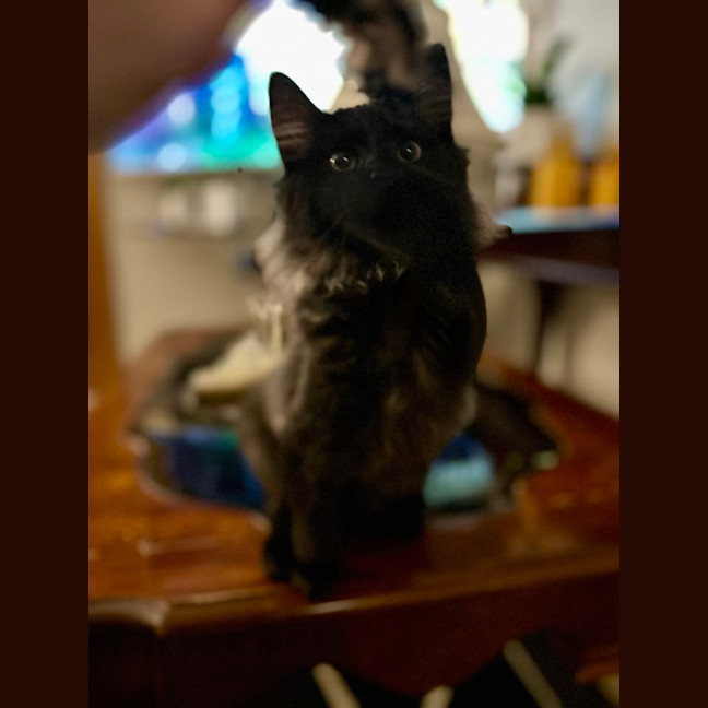 Photo of Lumos   Located In Lower Plenty