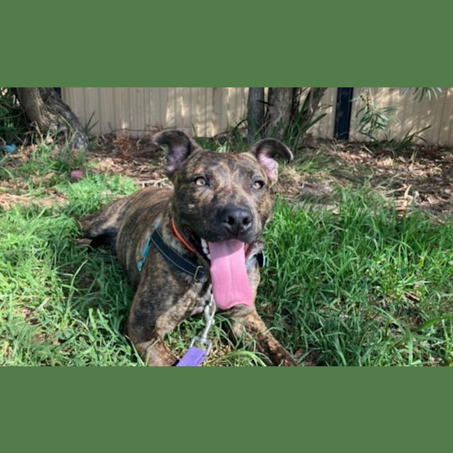 Photo of Rocket