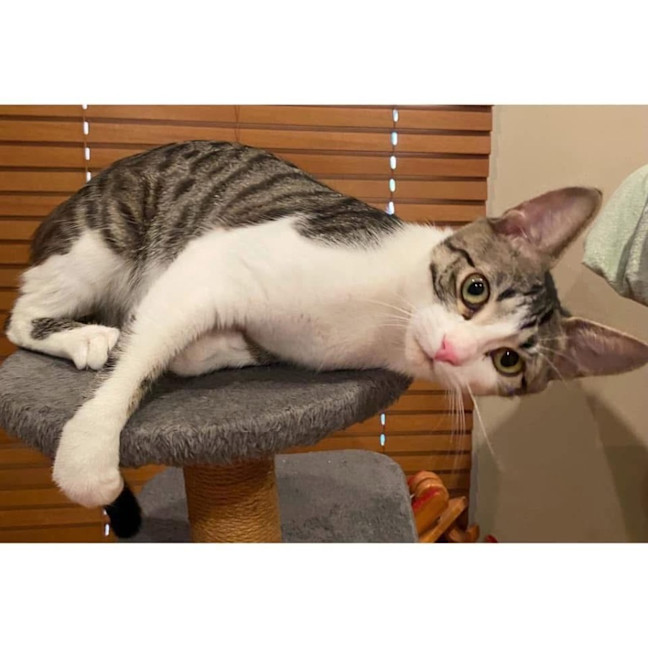 Photo of 11674   Mae