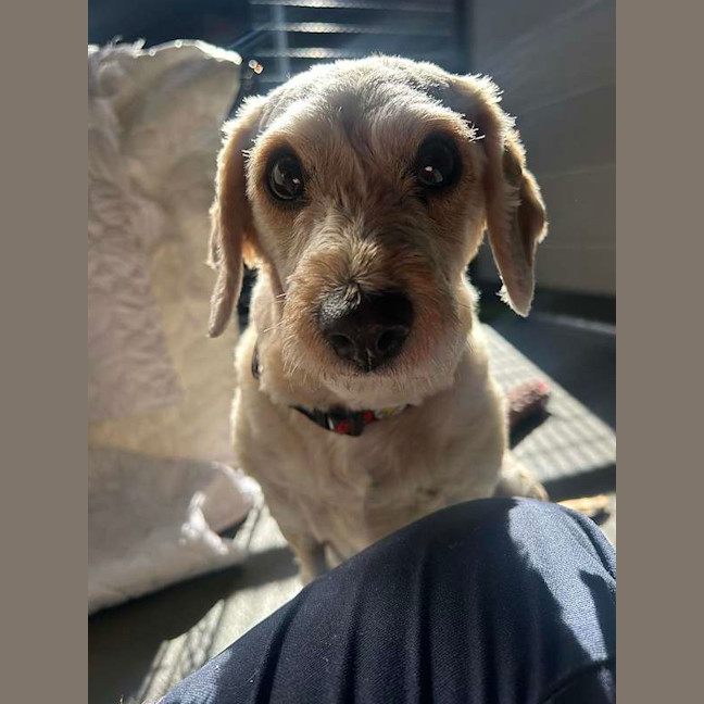 Photo of Wanda