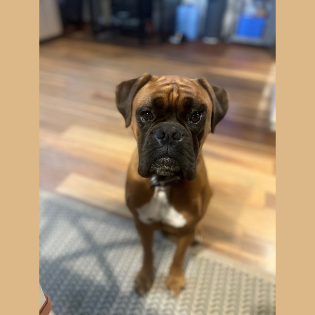 Photo of Rosie & Zeus