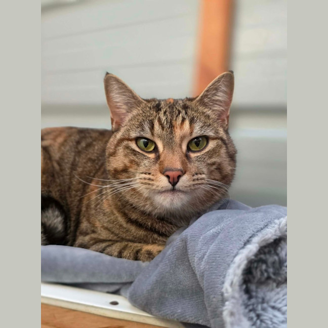 Photo of Echo
