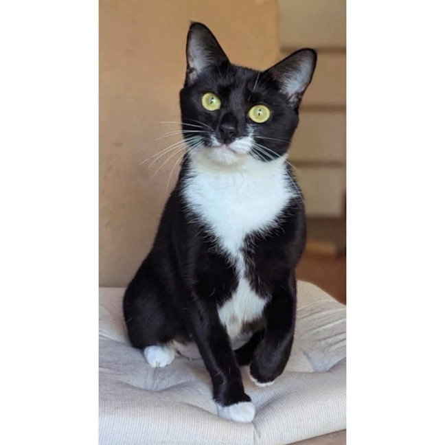 Photo of 12437   Cleo