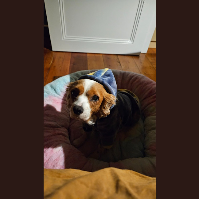 Photo of Lexi