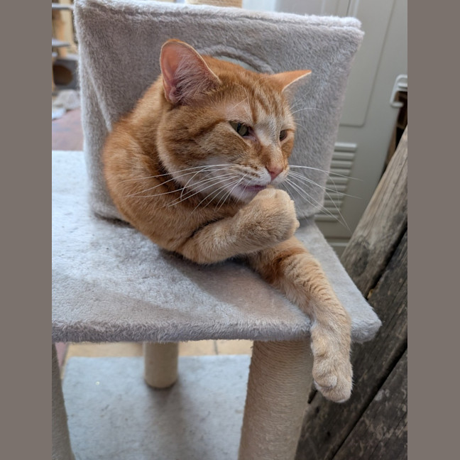 Photo of Jasper