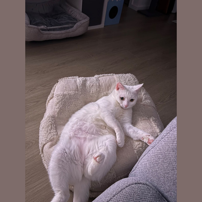 Photo of Yuki