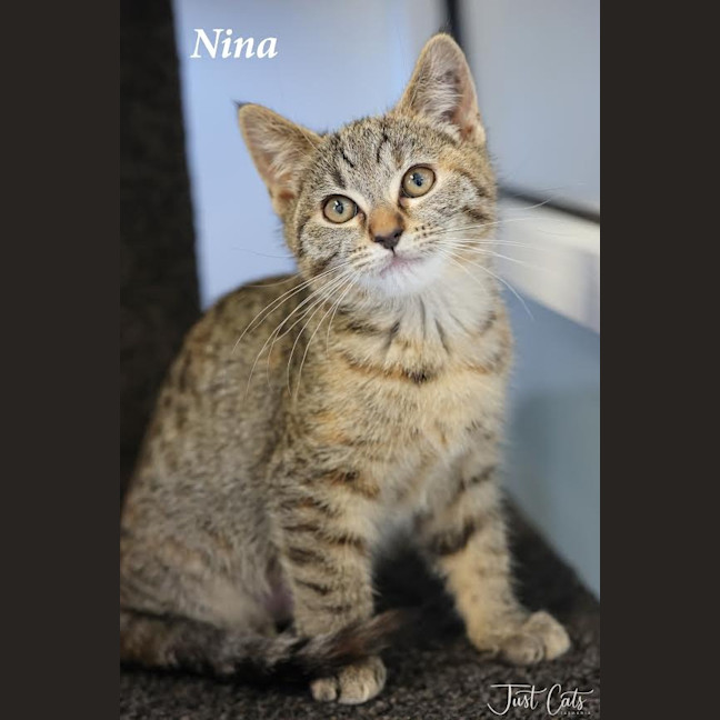 Photo of Nina   Burnie