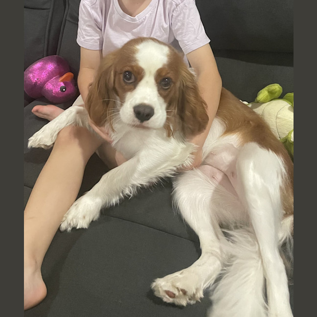 Photo of Tilly