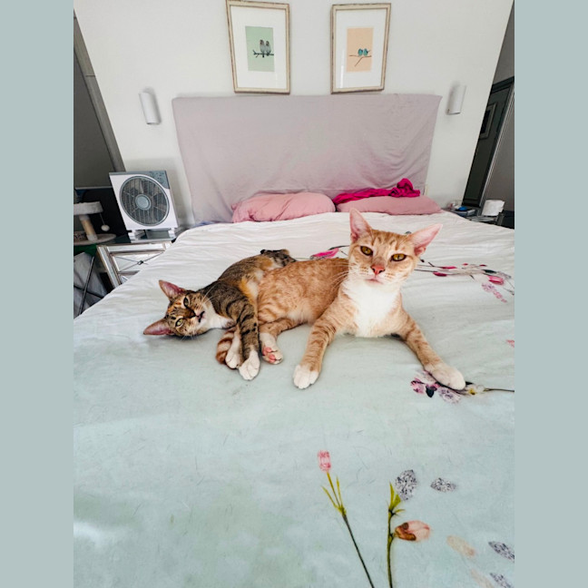 Photo of Ginger & Lily