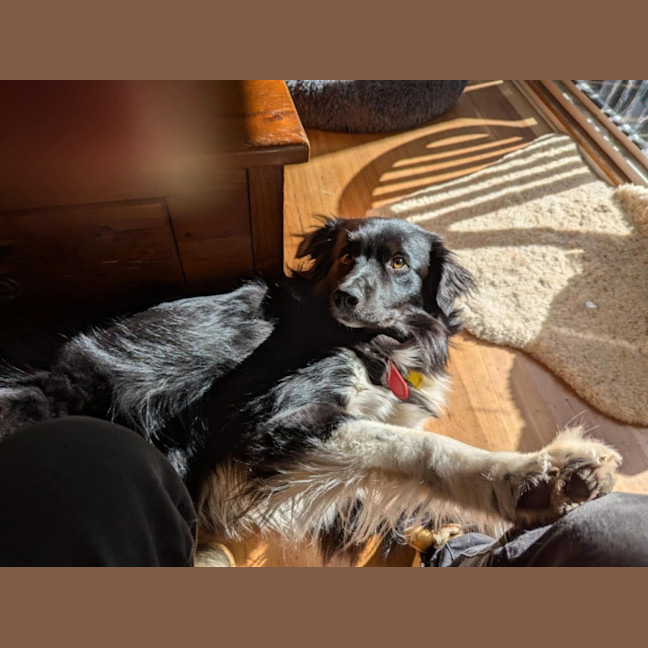 Photo of Finn Quinell