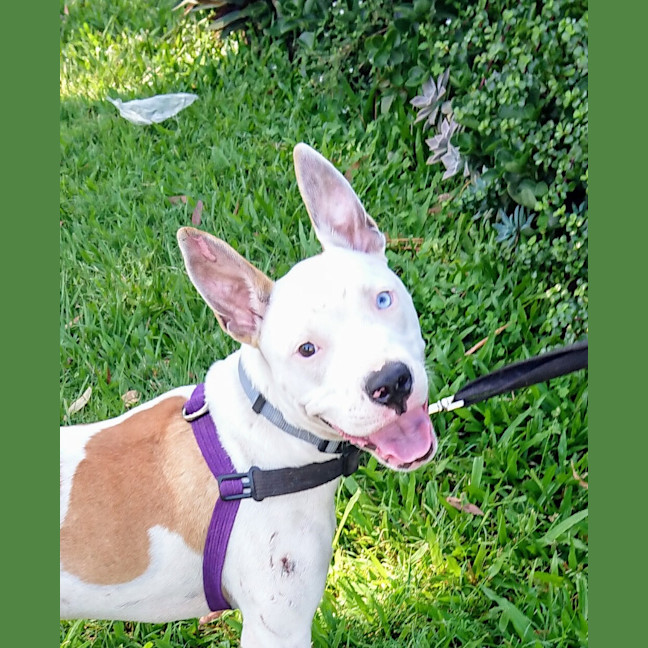 Photo of Rolly
