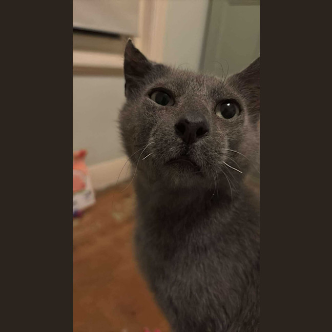 Photo of Max 