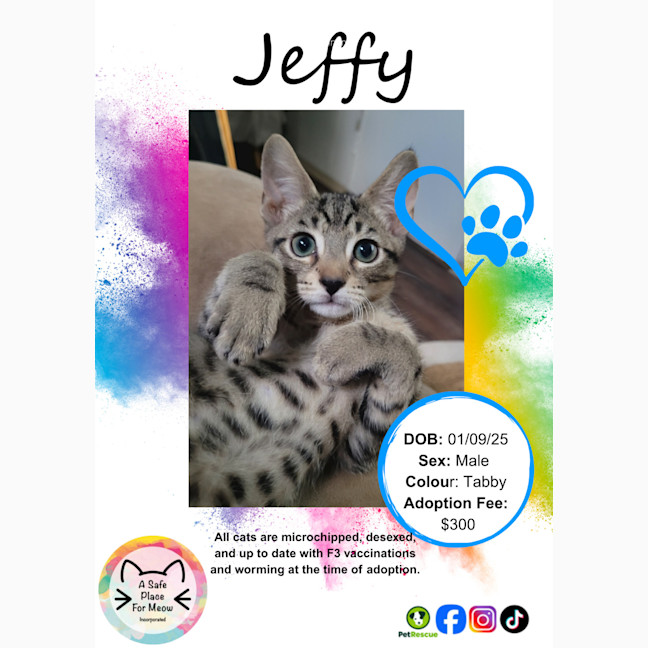 Photo of Jeffy