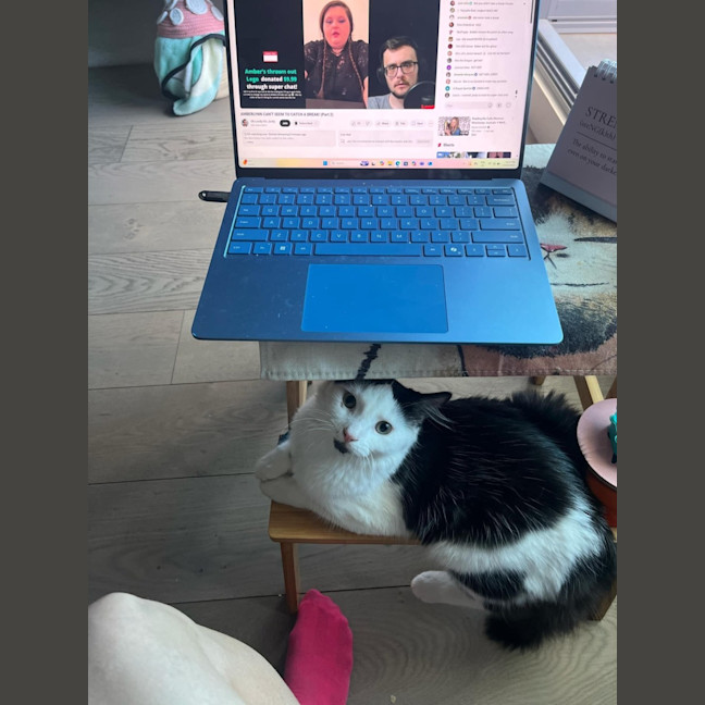 Photo of Mr Fancy Pants