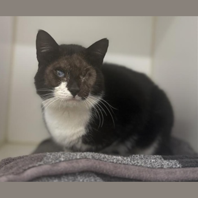 Photo of Pippy