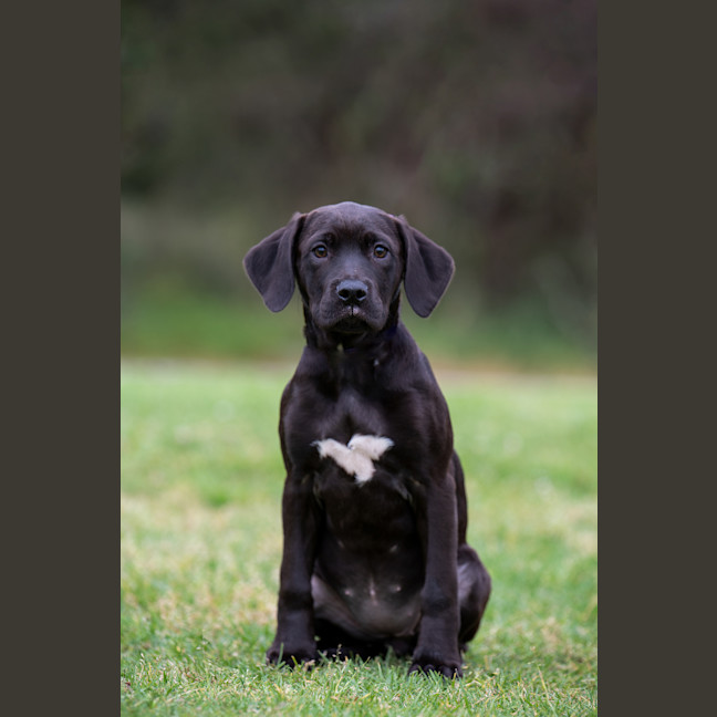 Photo of Beatrice