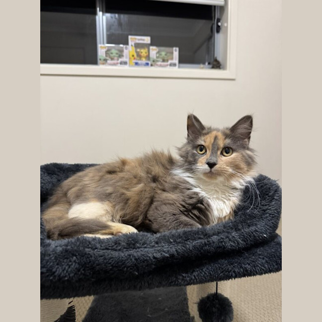 Photo of Hazel