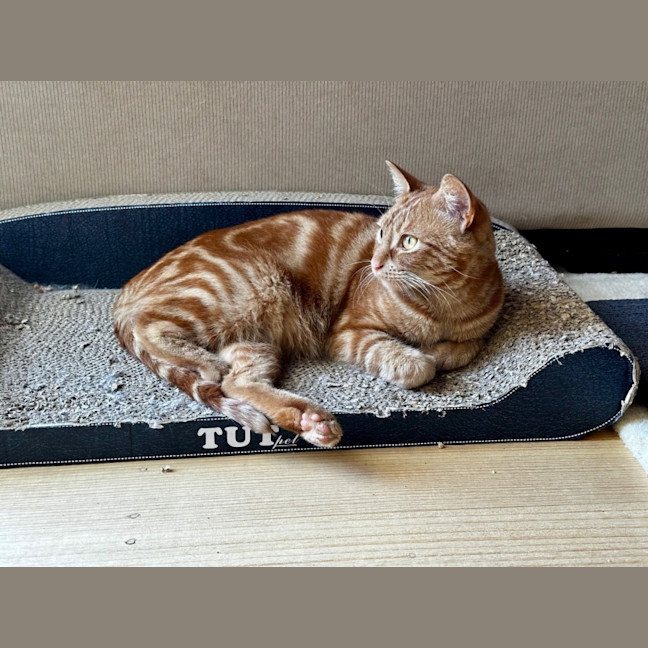 Photo of Charlie Lou Sta013002