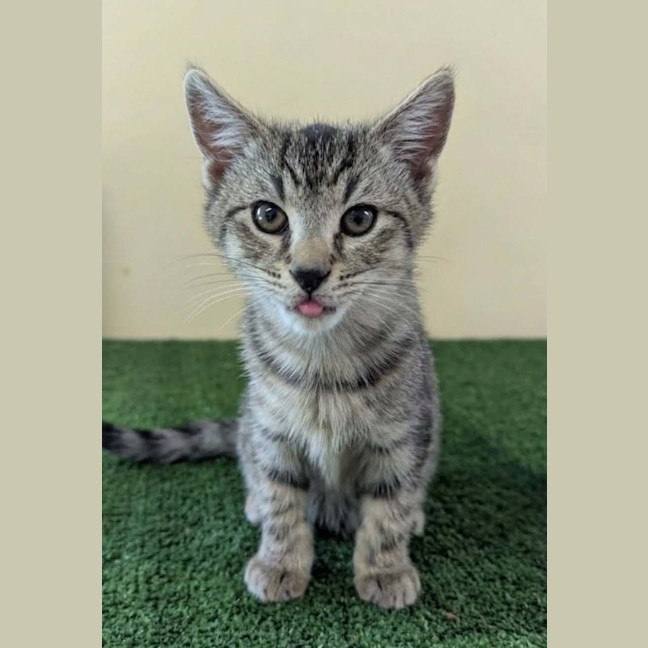 Photo of Parker